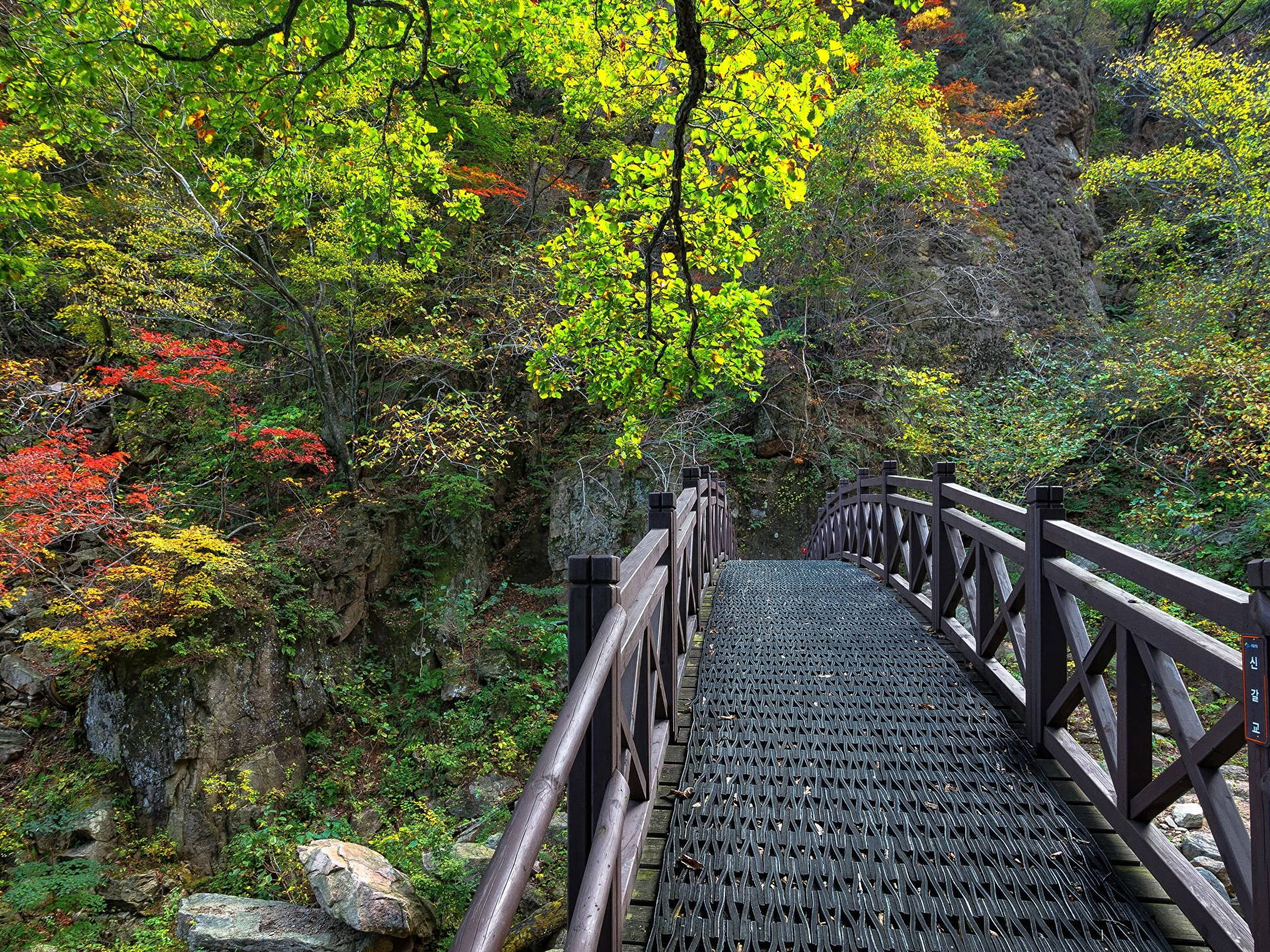 Với những rặng núi đá vôi hiện lên như hình ảnh trong phim võ thuật và động thực vật dồi dào, Vườn quốc gia Seoraksan là một trong những nơi tham quan đẹp nhất của Hàn Quốc. Hãy truy cập trang web của chúng tôi để cảm nhận sự đẹp đẽ của vườn quốc gia Seoraksan.