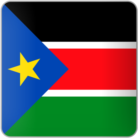 South Sudan Flag Graphic PNG