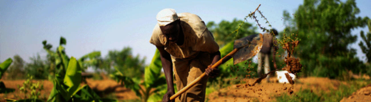 South Sudan Man Digging Shovel Wallpaper