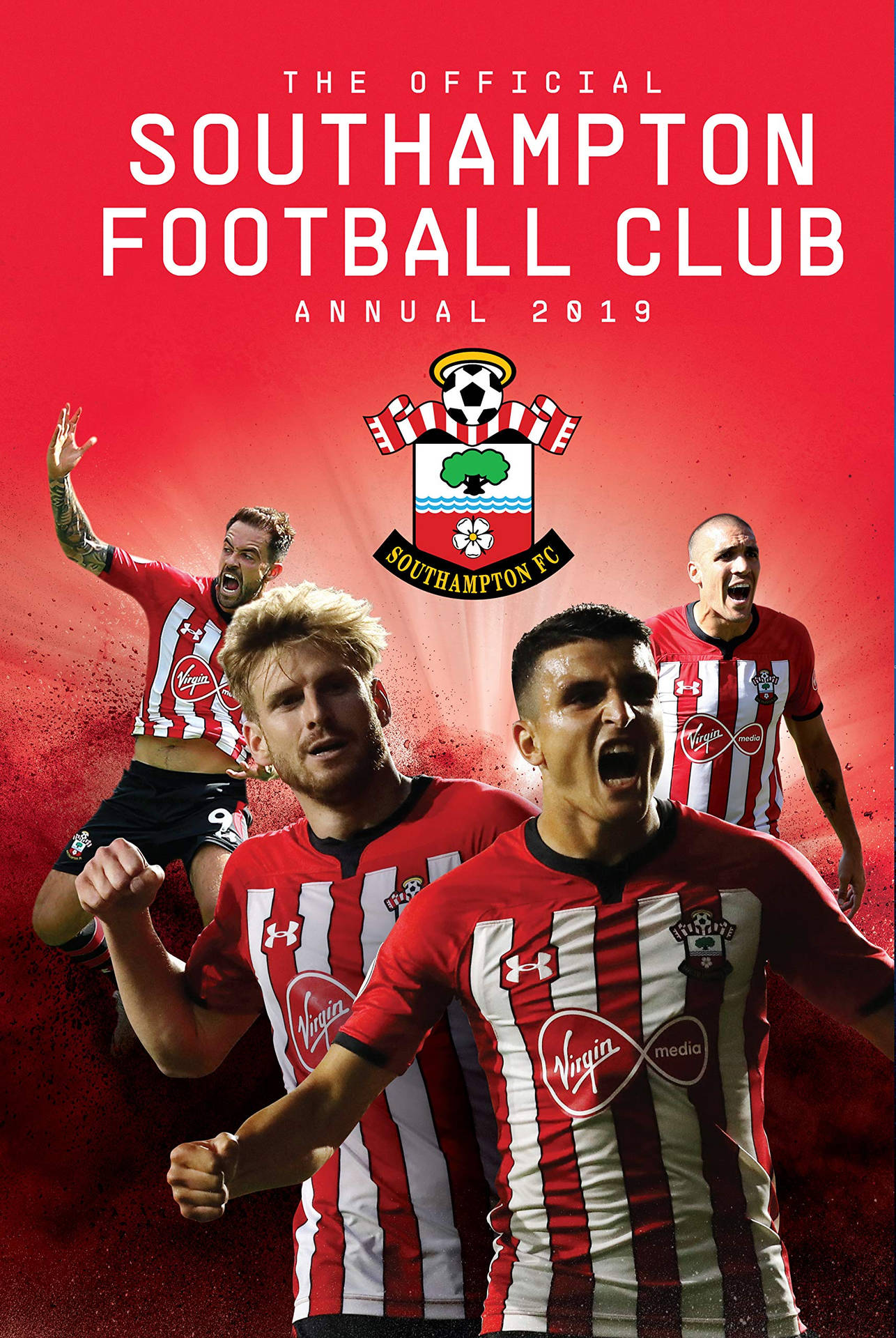 Southampton FC 2019 Plakat Tapet: Tag St. Mary's Stadium med dig overalt. Wallpaper
