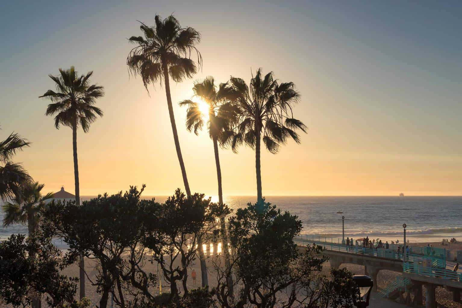 Et strand med palmer og en kaj i solnedgangen. Wallpaper