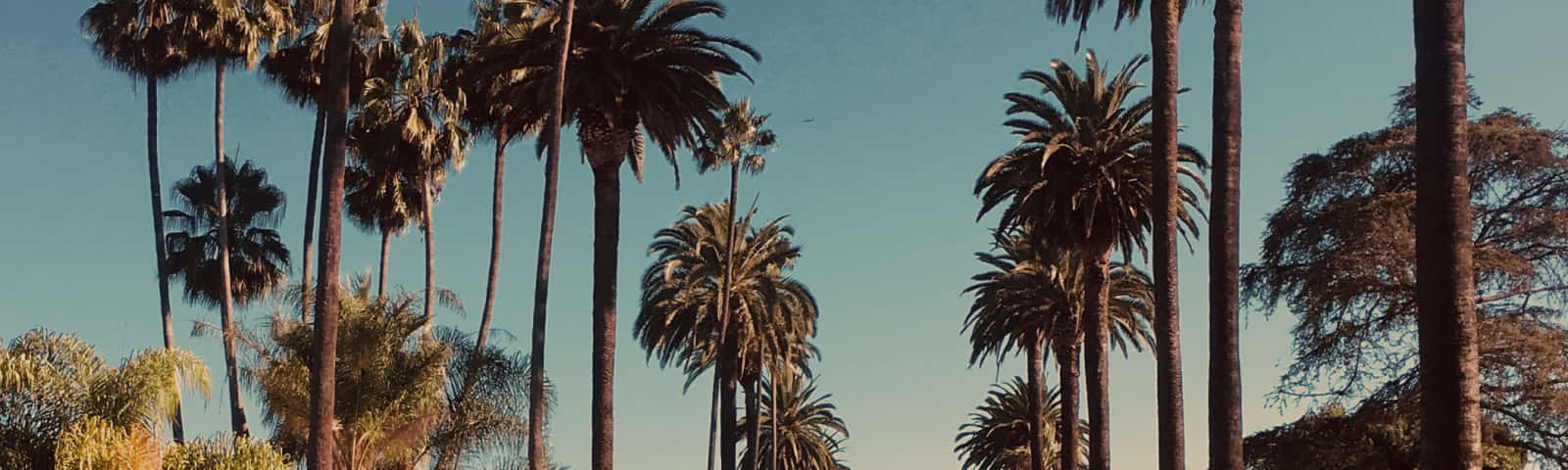 Disfrutade Las Playas Vírgenes De California Sur Fondo de pantalla