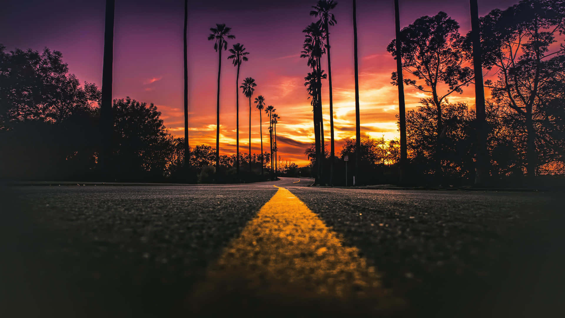 A Road With Palm Trees And A Sunset Wallpaper