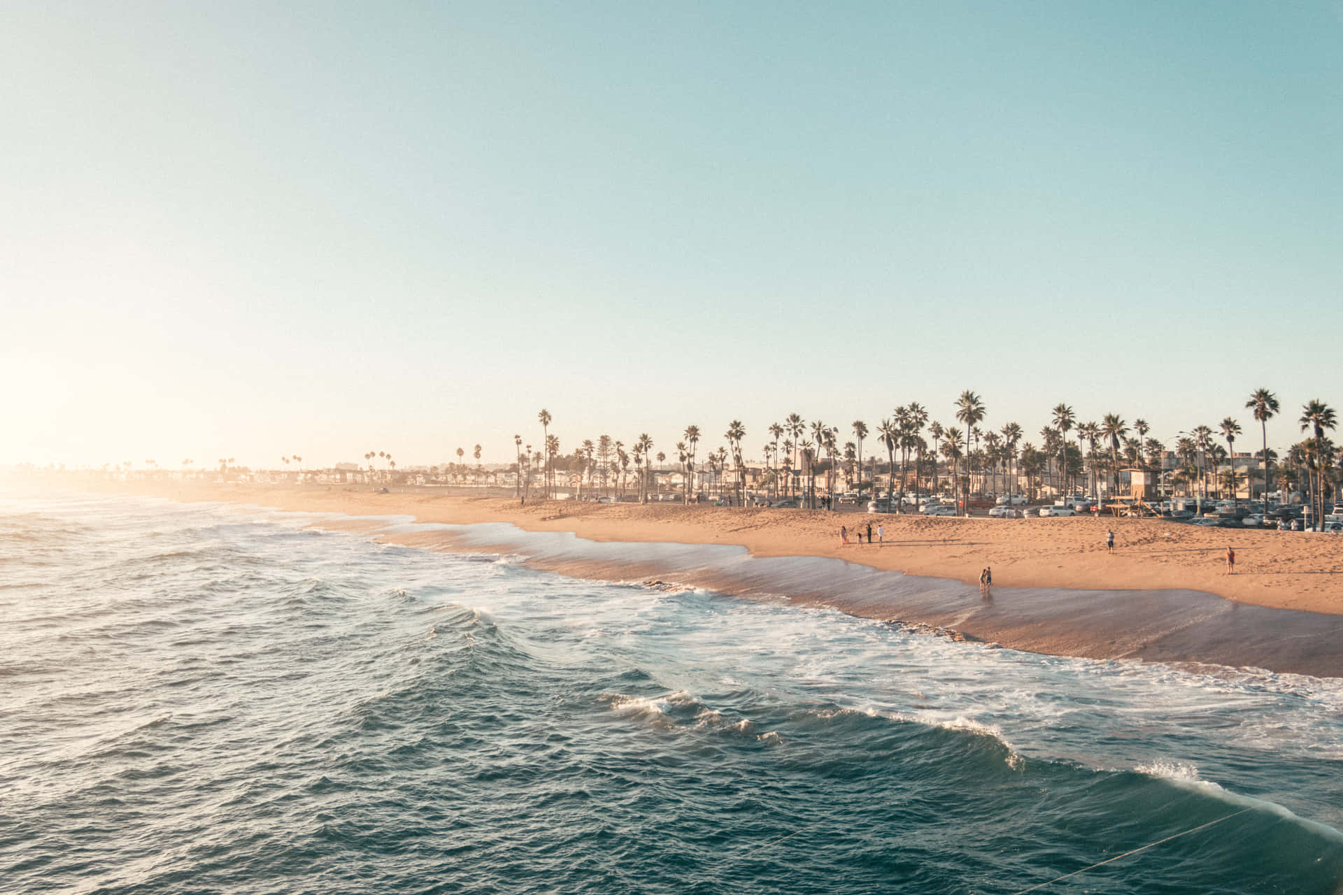 En strand med palmer og mennesker på den. Wallpaper
