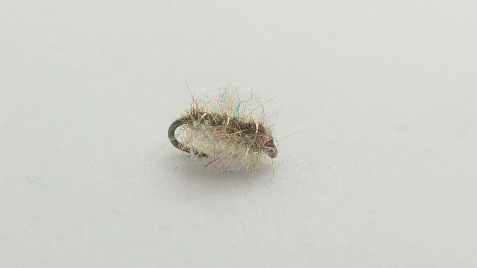 Sowbug Fly Fishing Lure Wallpaper