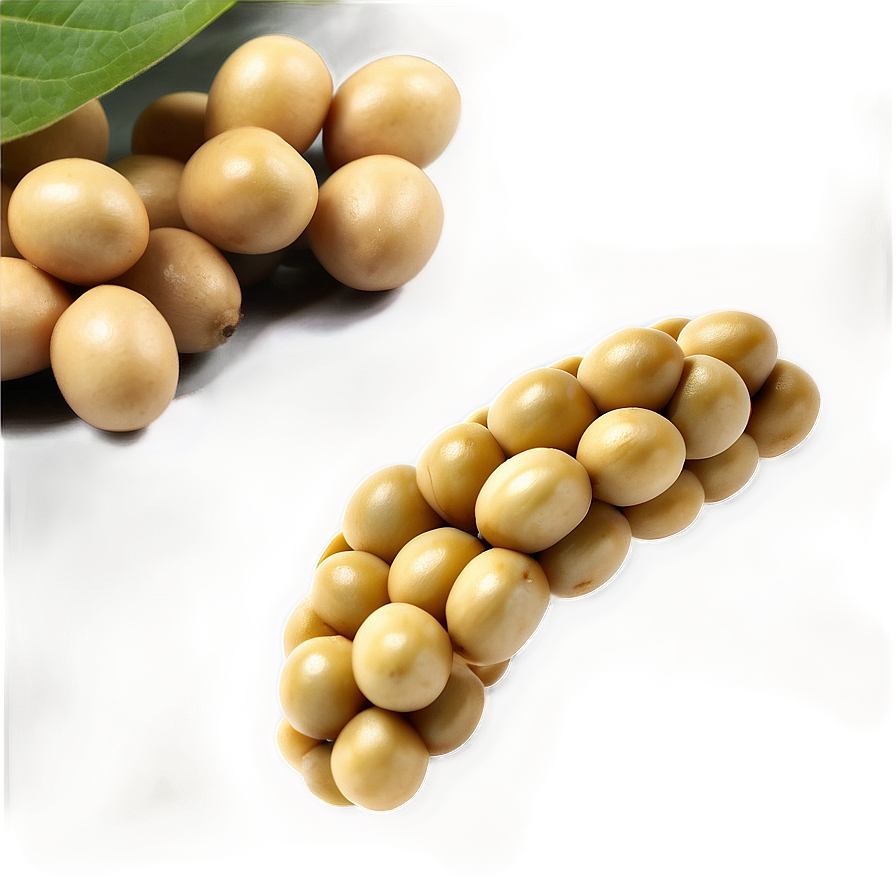 Soybean A PNG