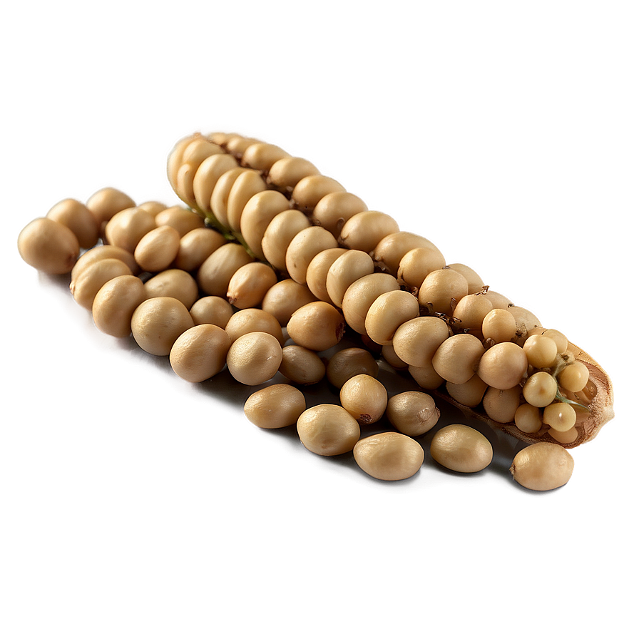 Soybean Culinary Uses Png Ahb54 PNG
