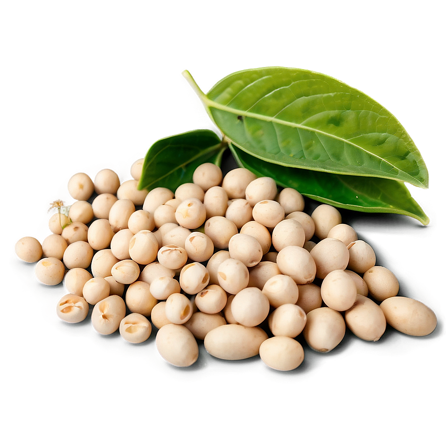 Download Soybean Environmental Impact Png Ken 5657