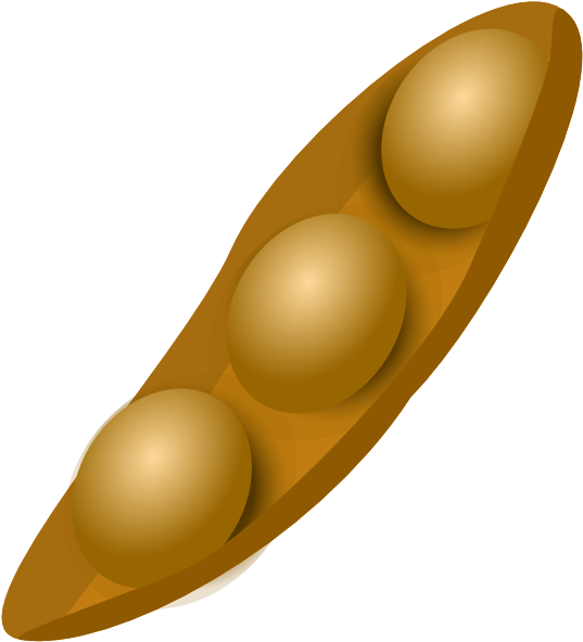 Soybean Pod Illustration PNG