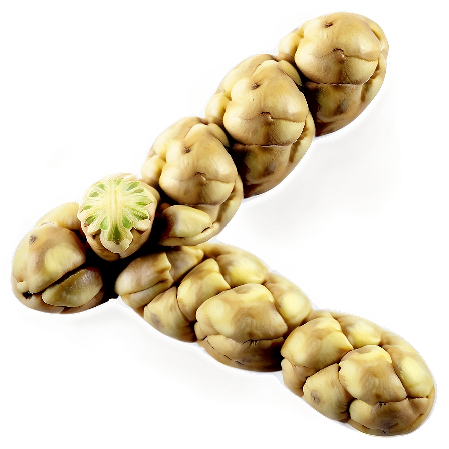Soybean Research Lab Png Are PNG