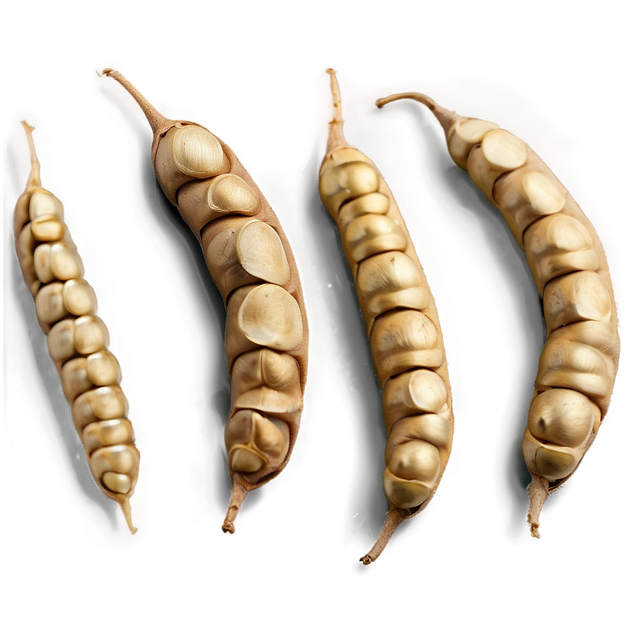 Soybean Trade Export Png Ryj PNG