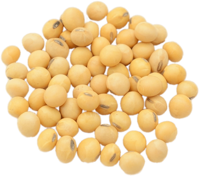 Soybeans Isolatedon Transparent Background PNG