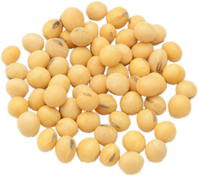 Download Soybeans Isolatedon Transparent Background