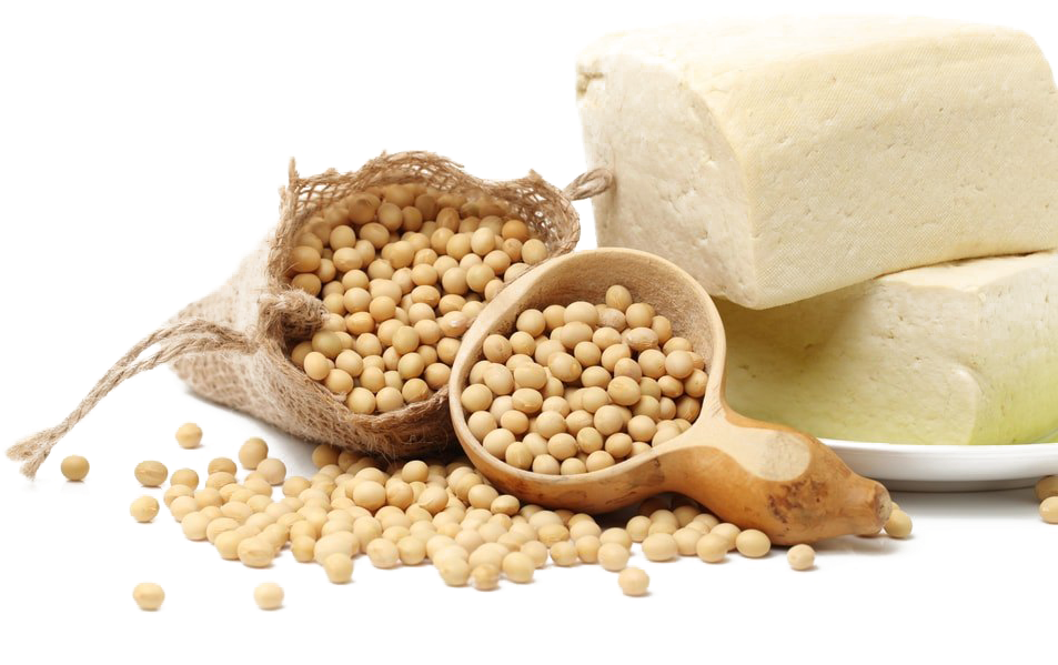 Soybeansand Tofu Display PNG