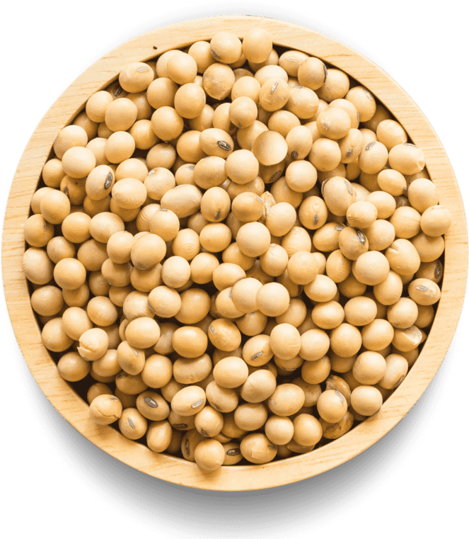 Soybeansin Wooden Bowl PNG
