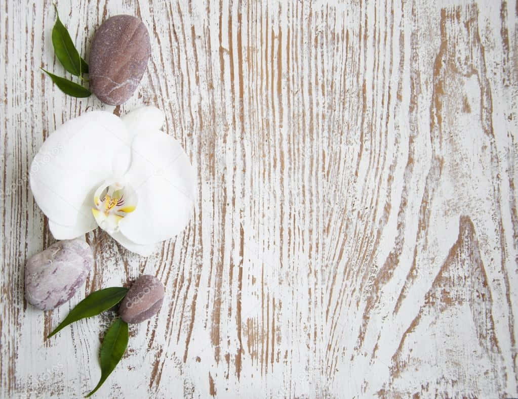 Hintergrundmit Wellness Weiße Blume Weiße Holzoberfläche