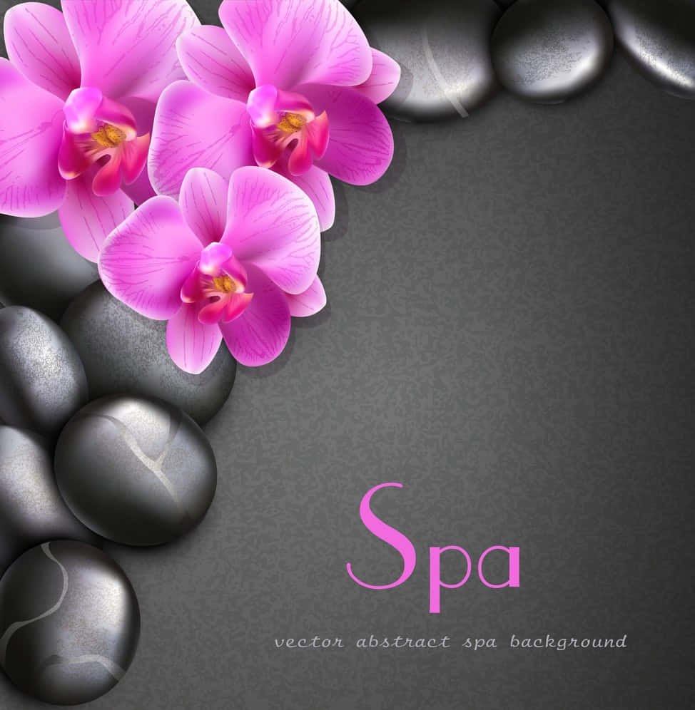 Spa Background Pink Flowers And Black Stones Over Black Backdrop