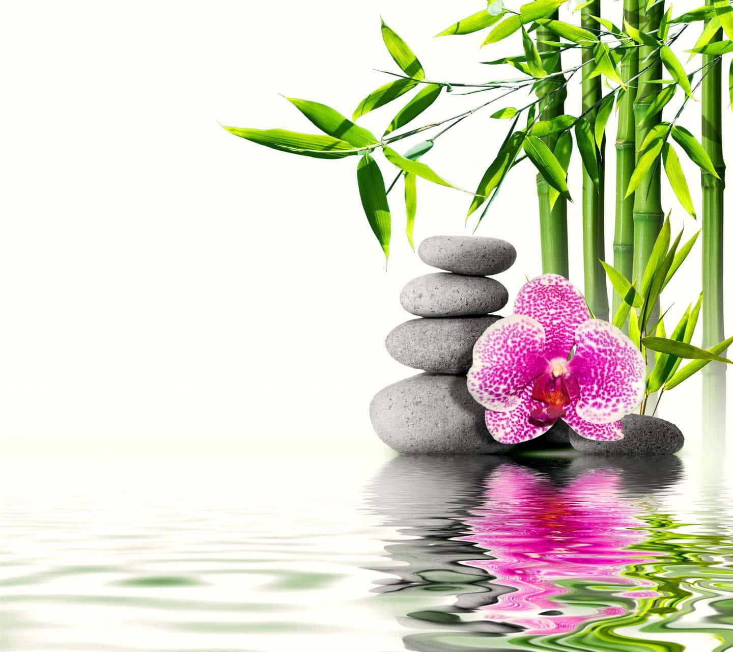 Spa Background Orchid Flower And A Grey Stone Stack