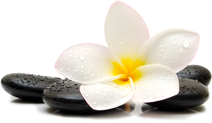 Download Spa Concept Zen Stonesand Frangipani | Wallpapers.com