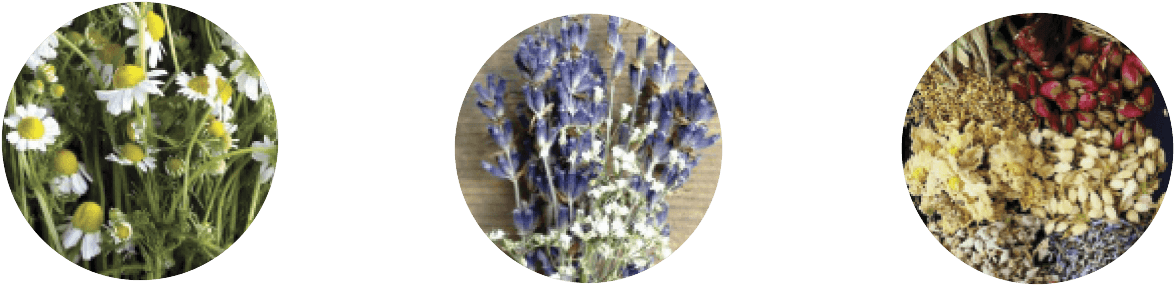 Spa Essential Oilsand Herbs PNG