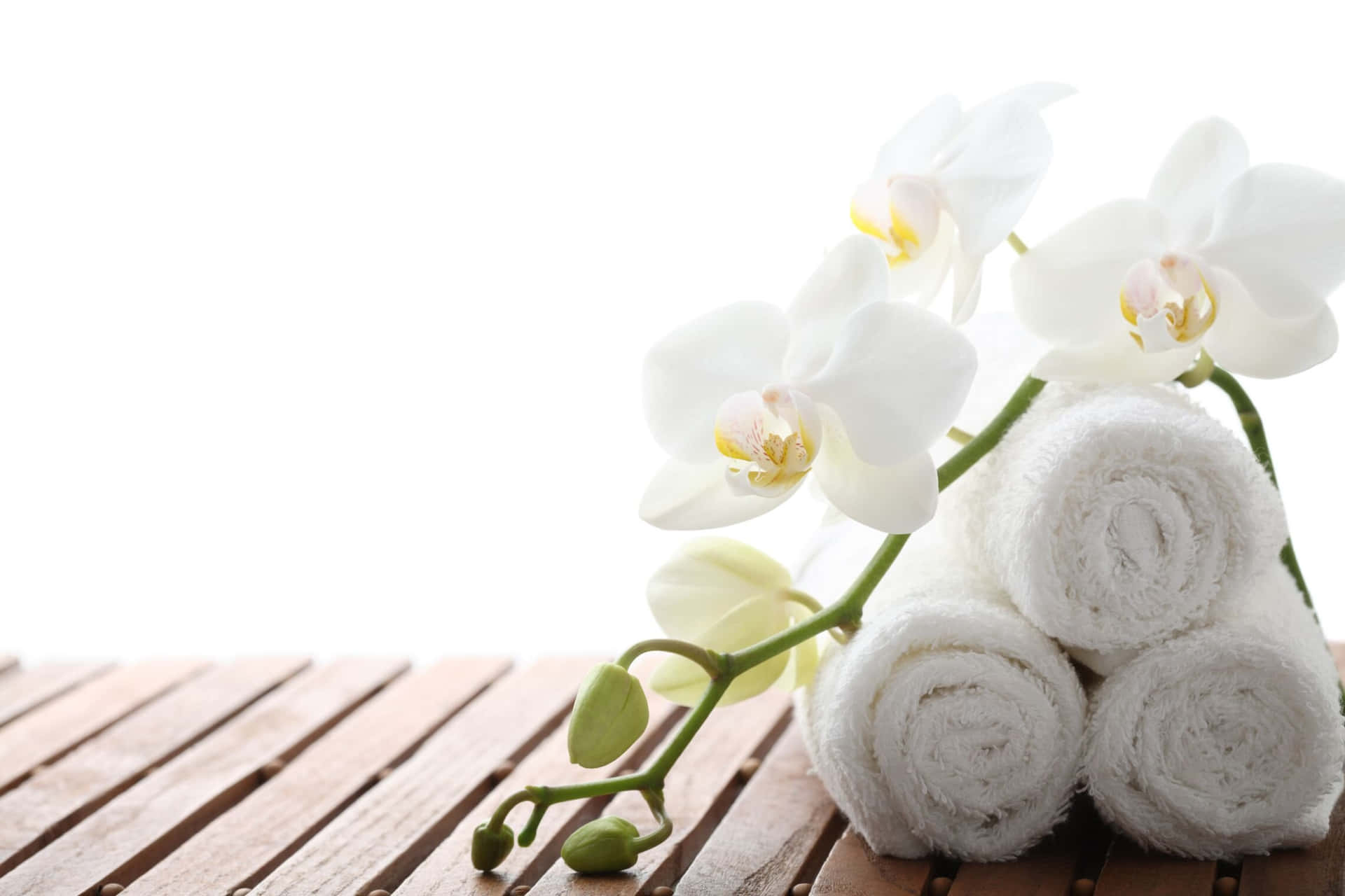 White Orchids And Spa Towel Picture