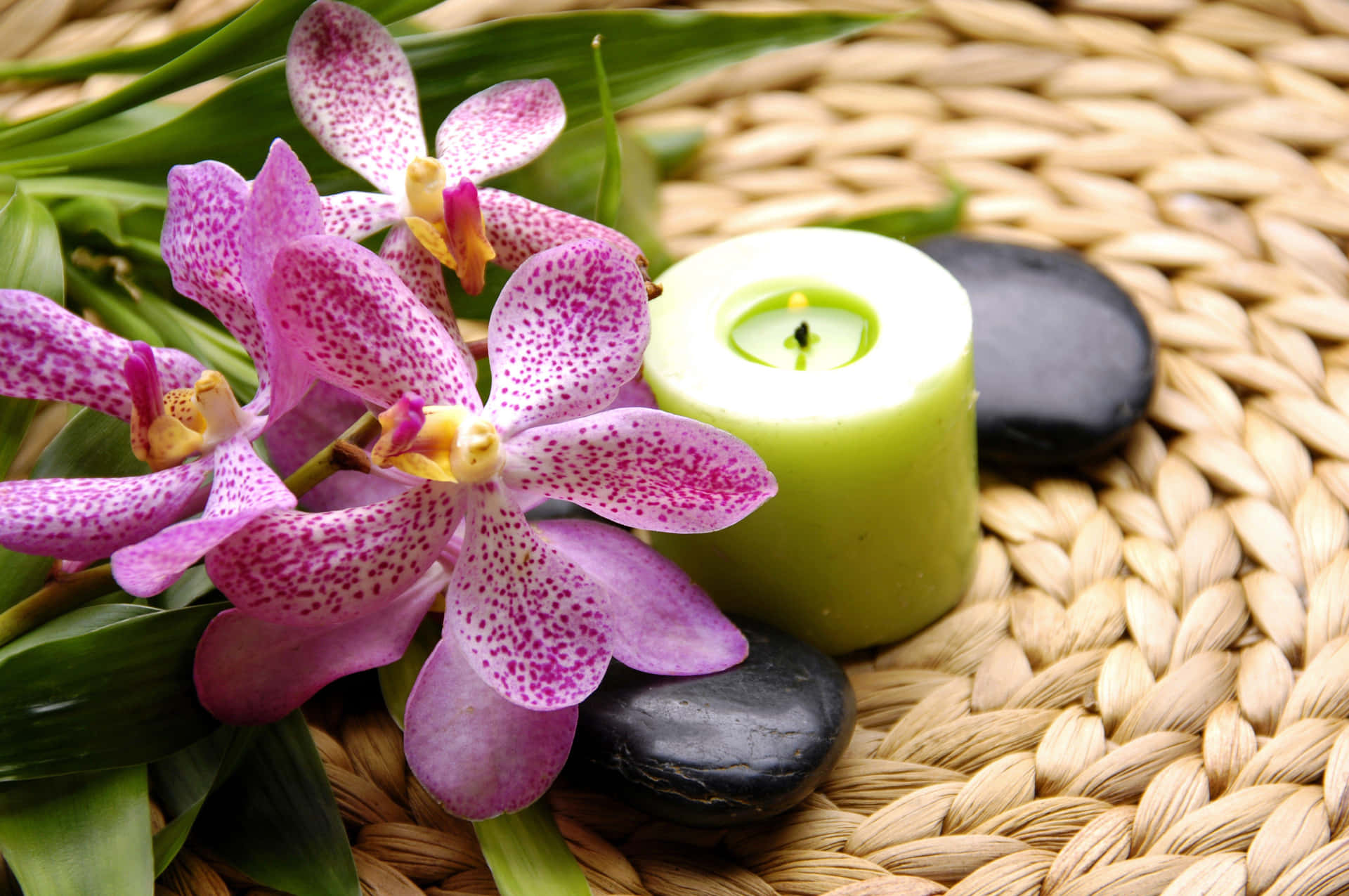 Spa Relaxation Elements Wallpaper
