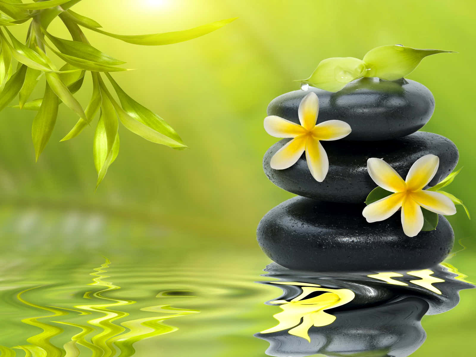 Relax and Renew with Spa Treatments Wallpaper