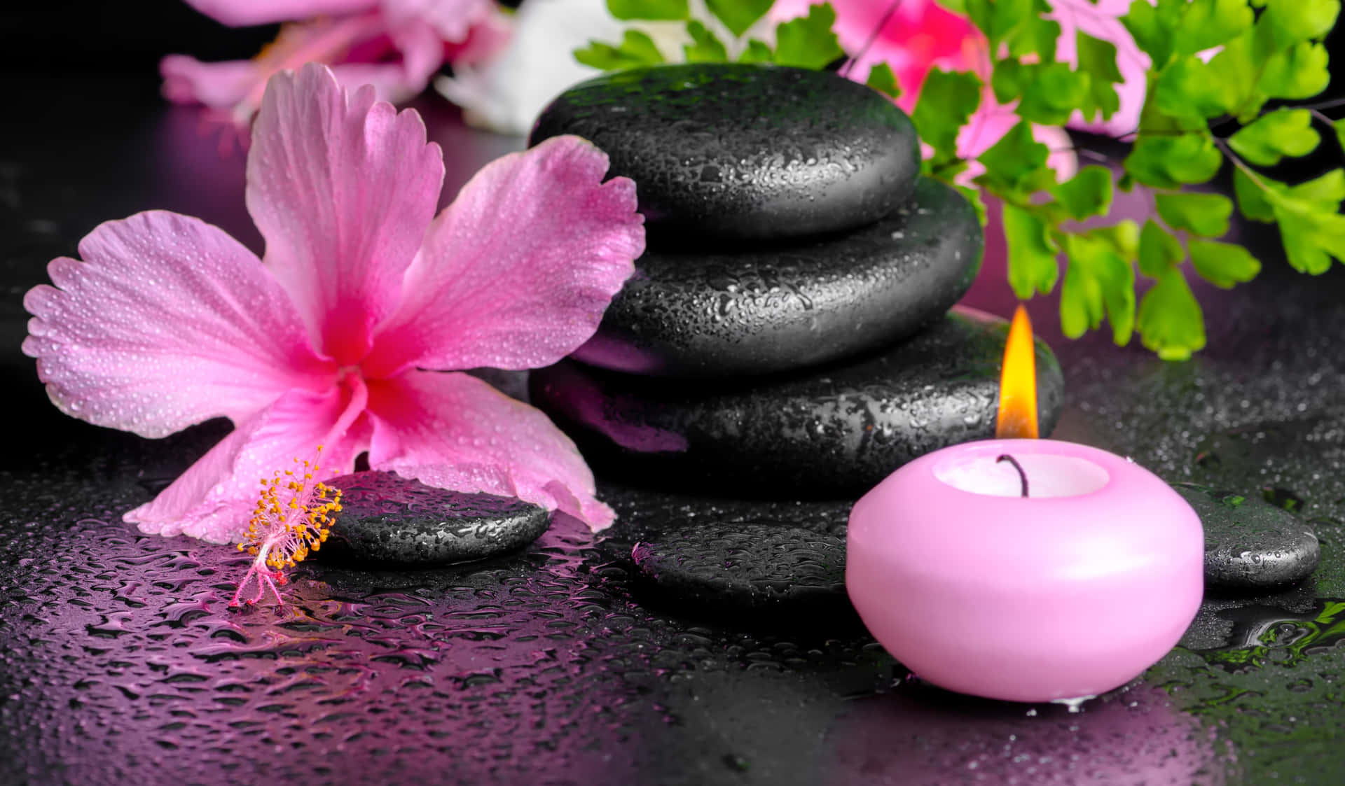 Escape the Stress of Everyday Life with Relaxing Spa Treatments Wallpaper