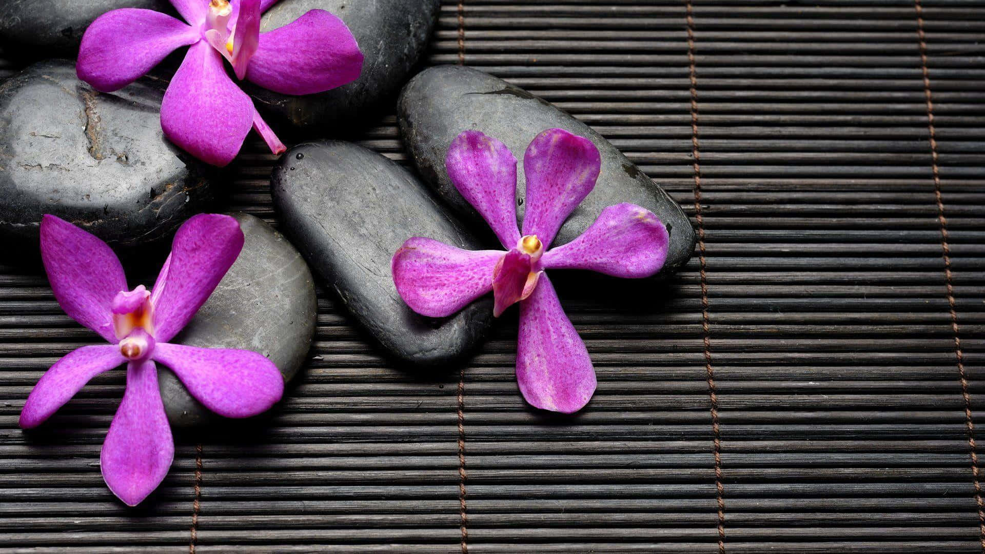 Spa Wellness Orchidsand Stones Wallpaper