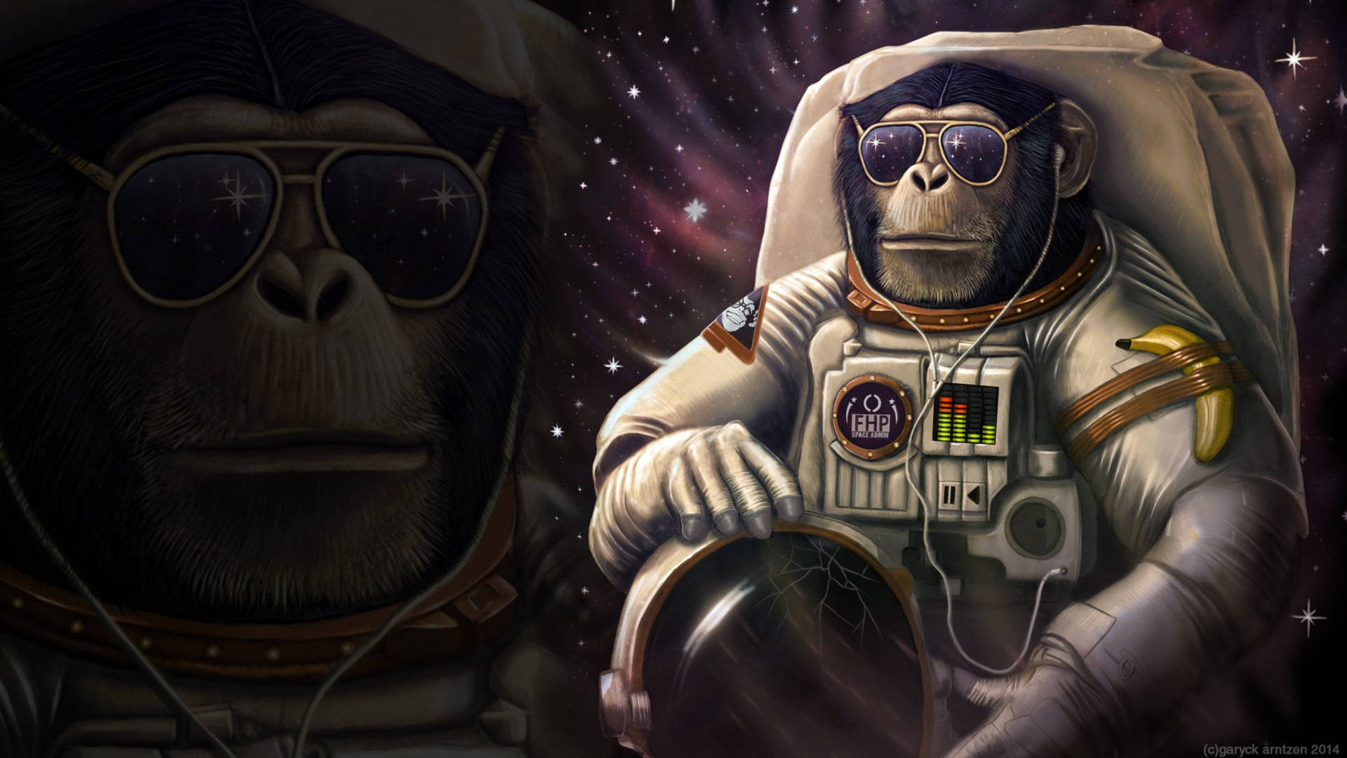 Space Chimpanzee Wallpaper