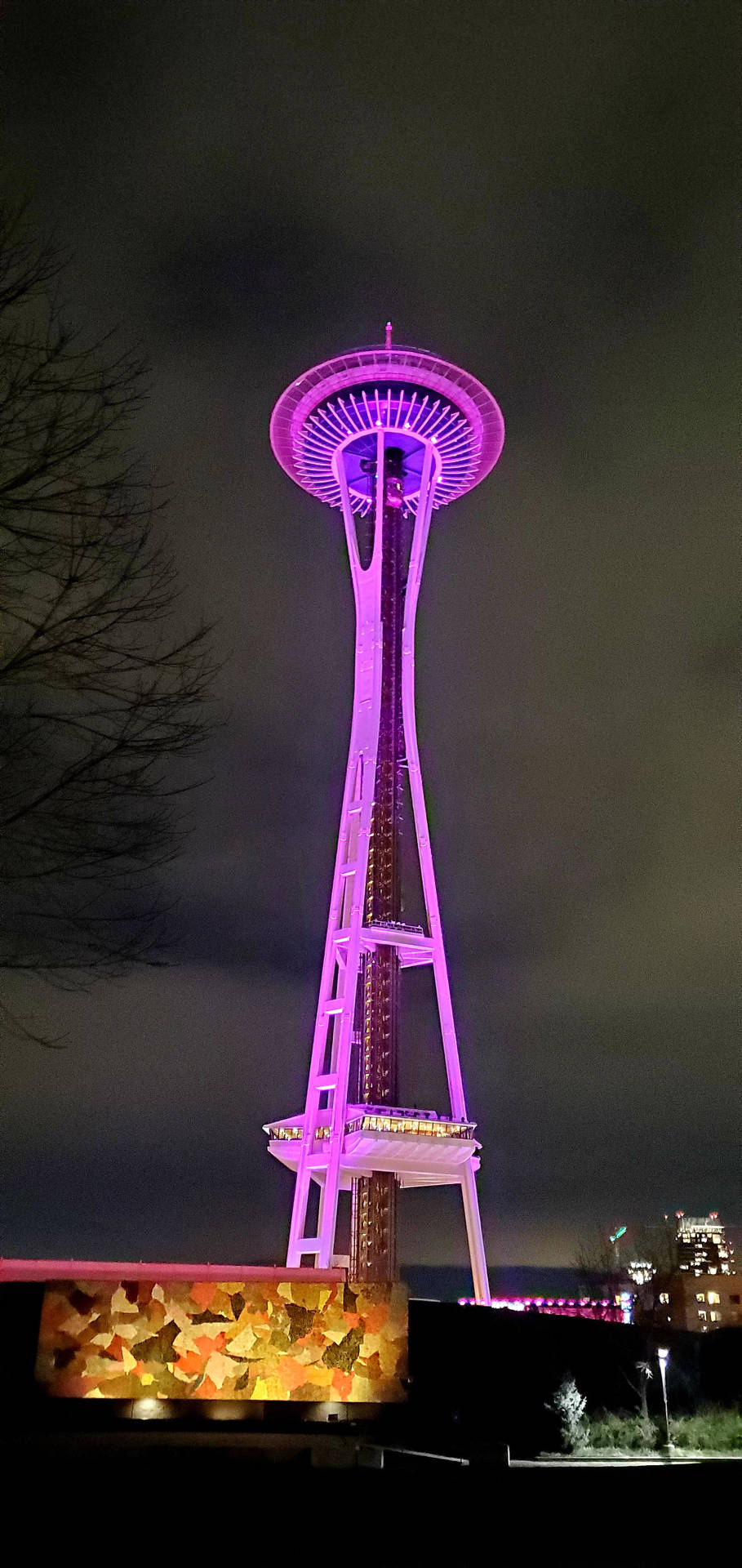 Space Needle Purple Lights Wallpaper