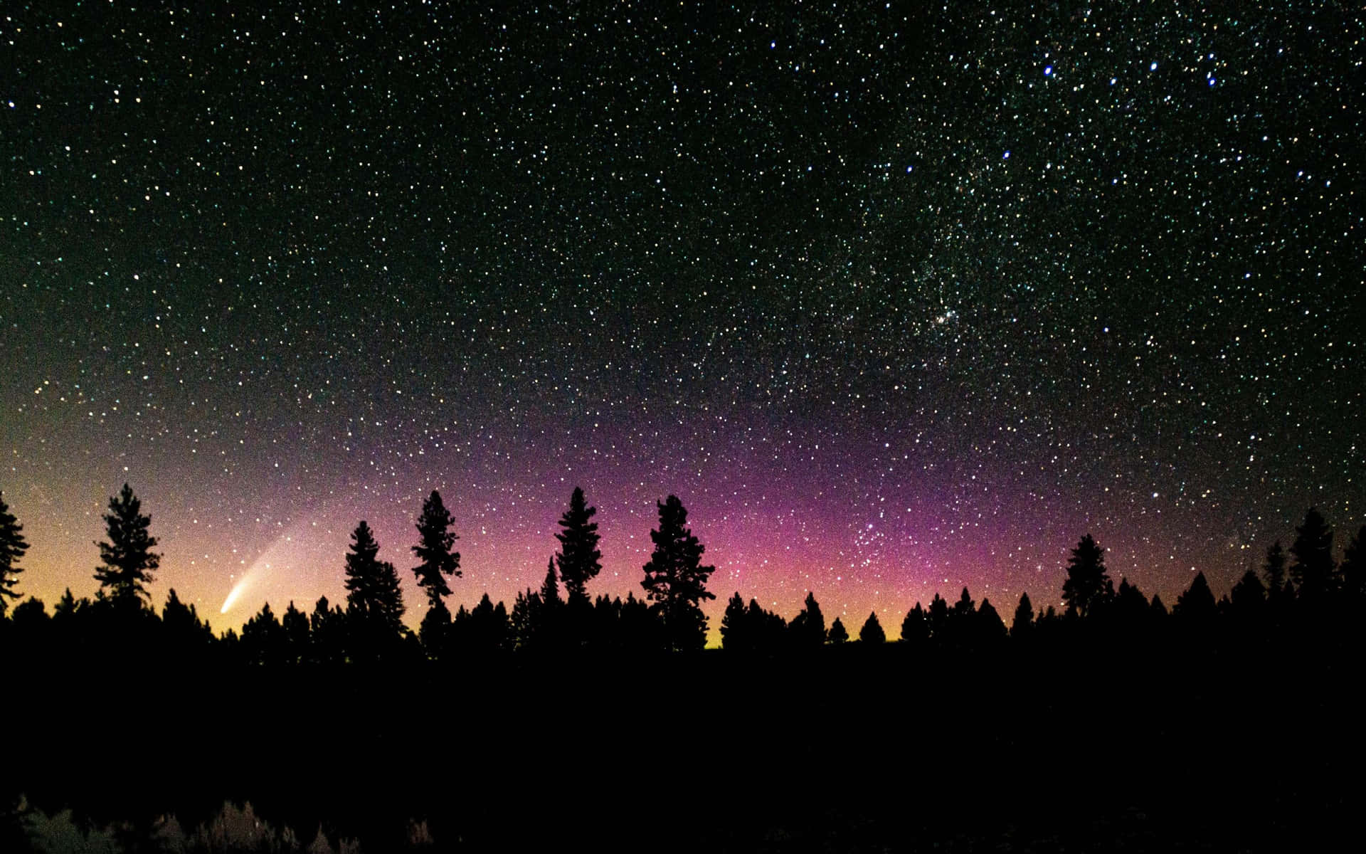 Hintergrundbildmit Weltraumsternen, Farbenfrohem Himmel Im Wald.