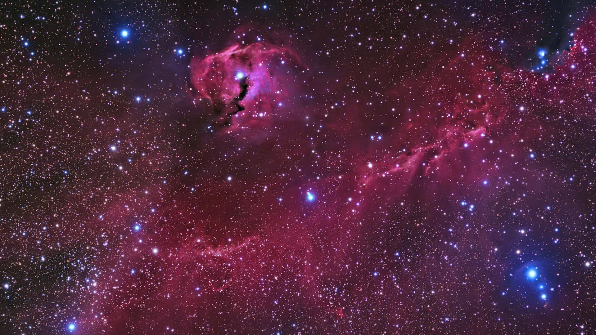 Rymdstjärnor Bakgrund Och Måsflock-nebulosa.