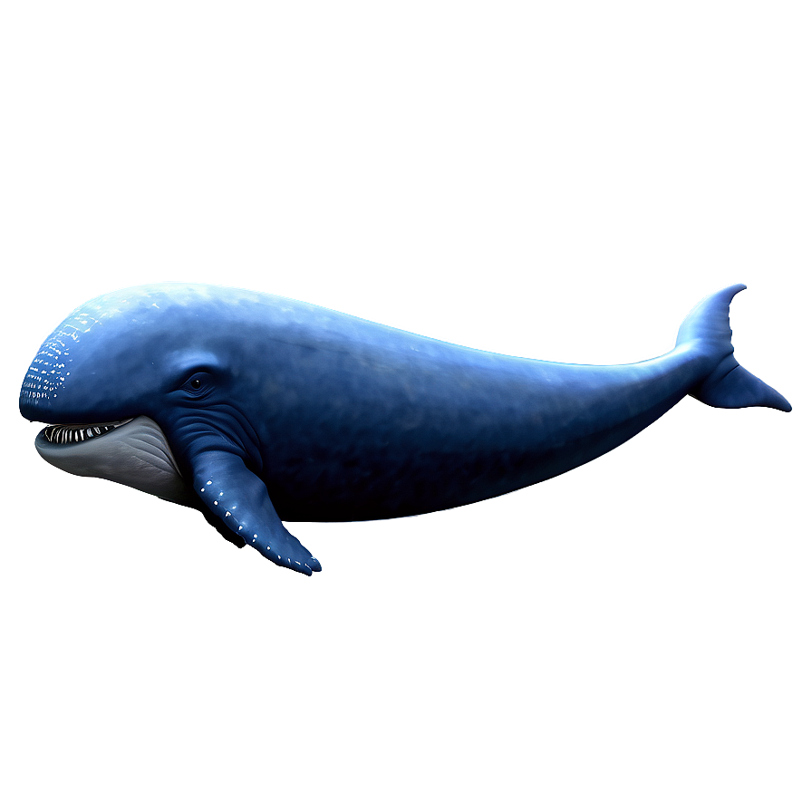 Space Whale Png 1 PNG