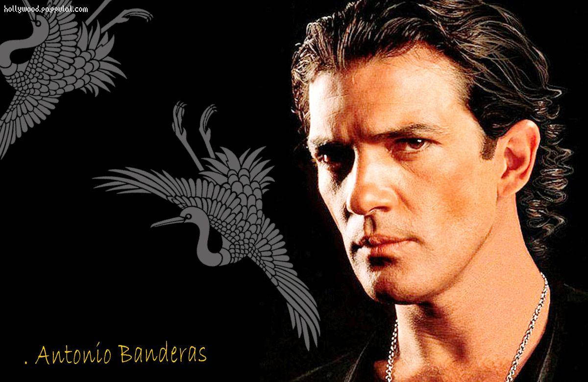 Spanish Celebrity Antonio Banderas Wallpaper