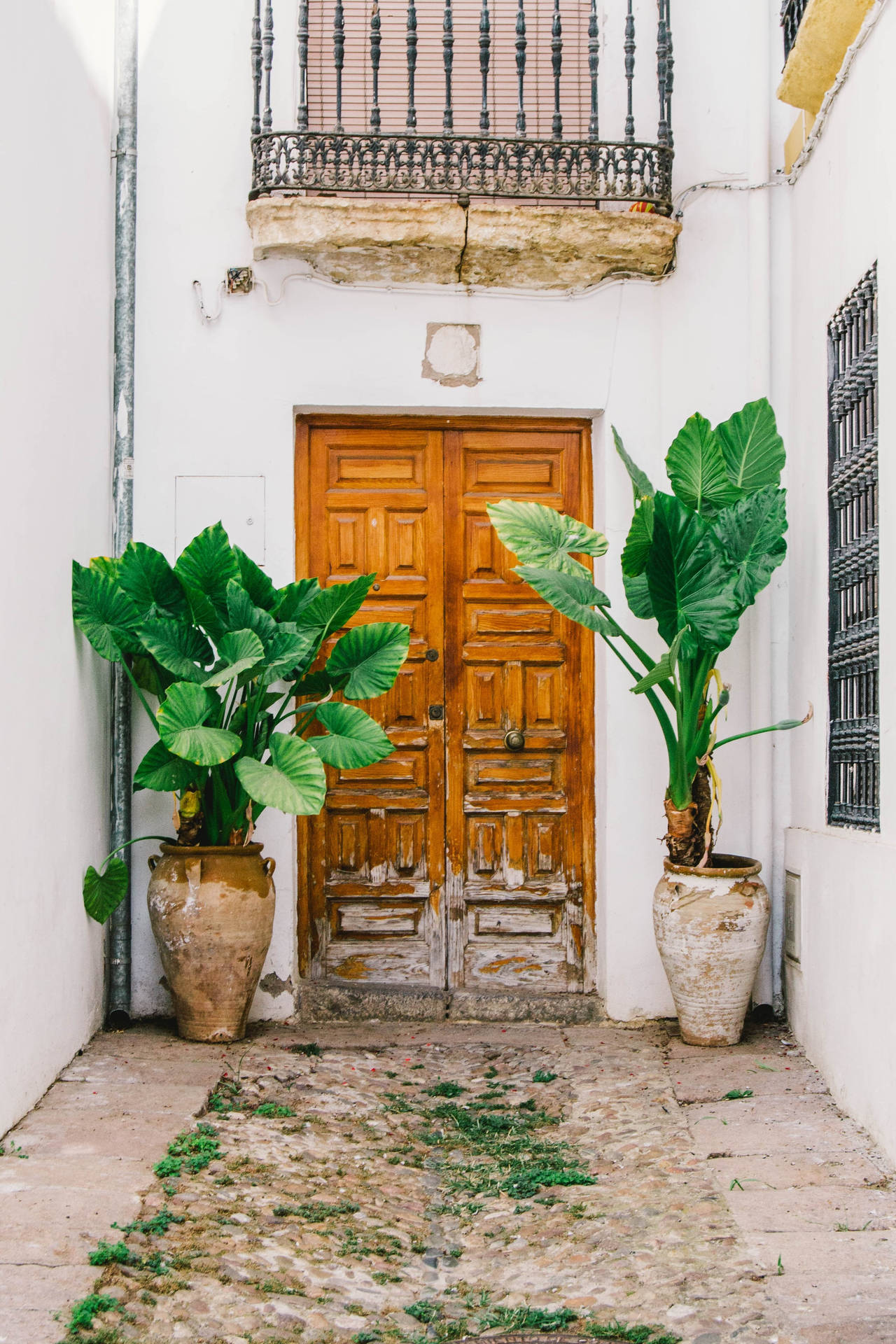 Spanish-style Wooden Door With Planters Wallpaper