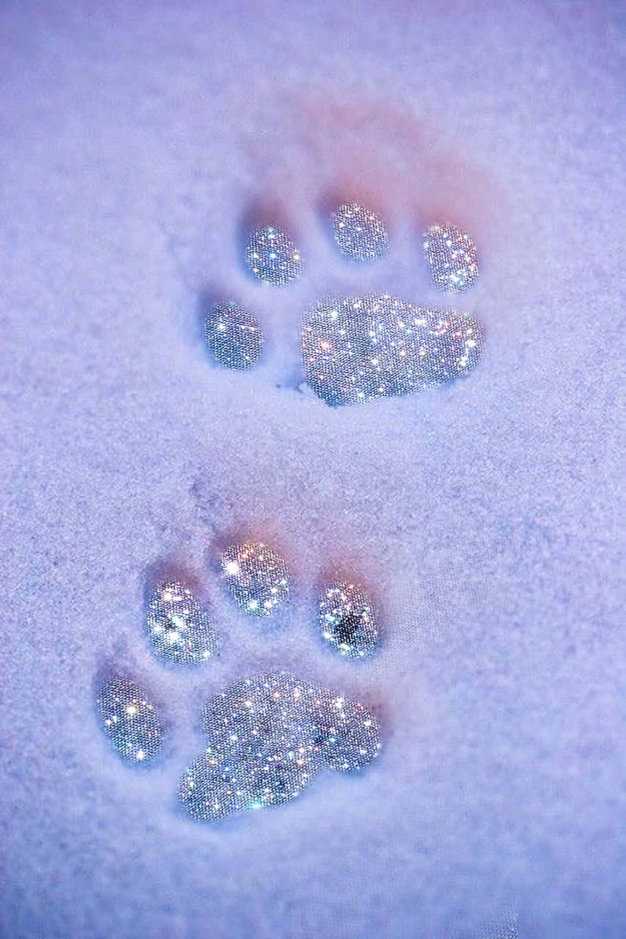 Cute Snow Furry Paws Sparkle Aesthetic Wallpaper
