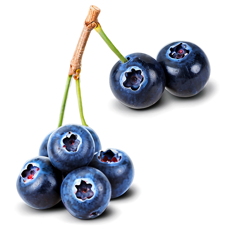 Sparkling Blueberries Png Qvt59 PNG