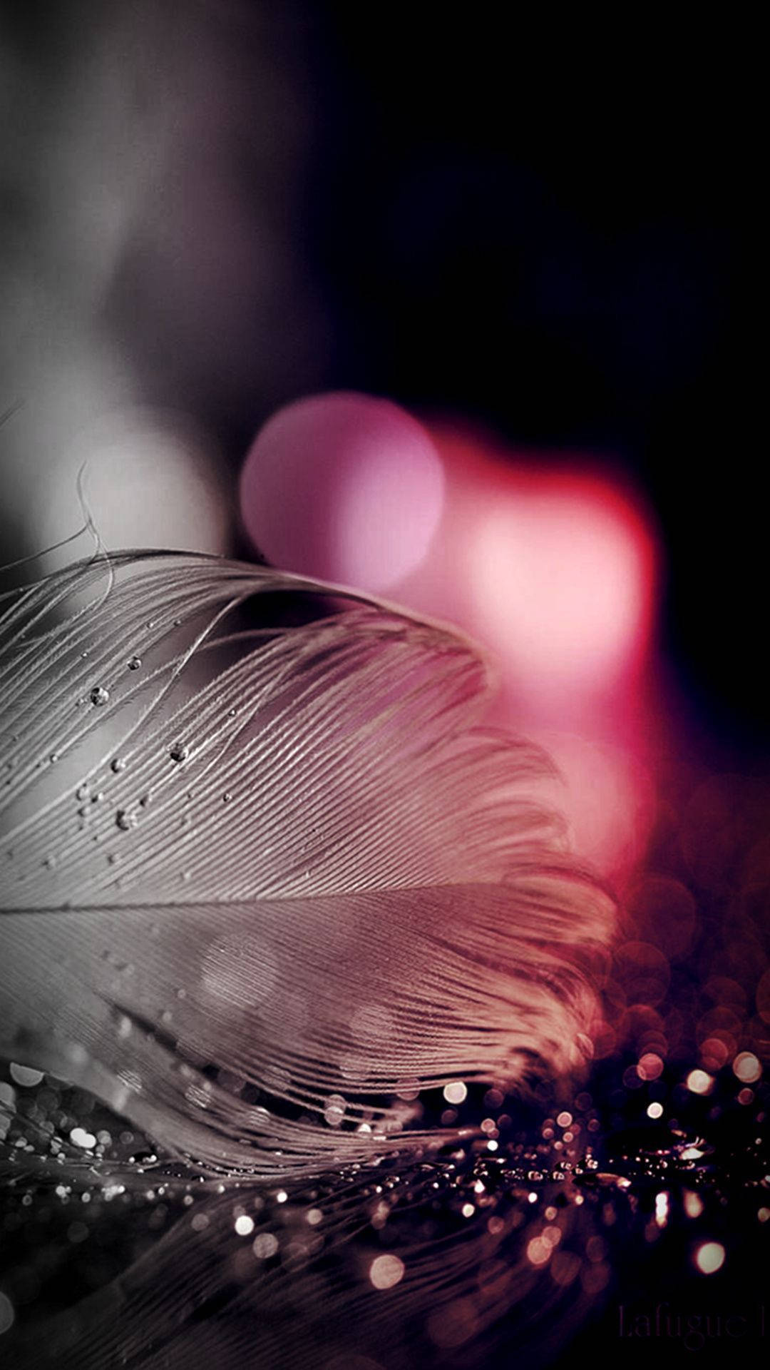 Sparkling Feather On Blurred Backdrop Smartphone Background Wallpaper
