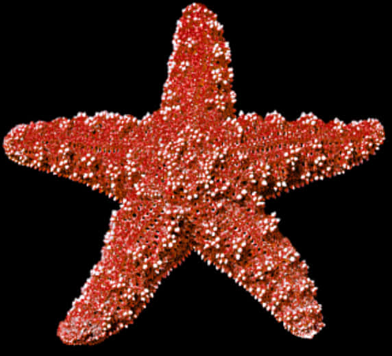 Sparkling Red Starfish PNG