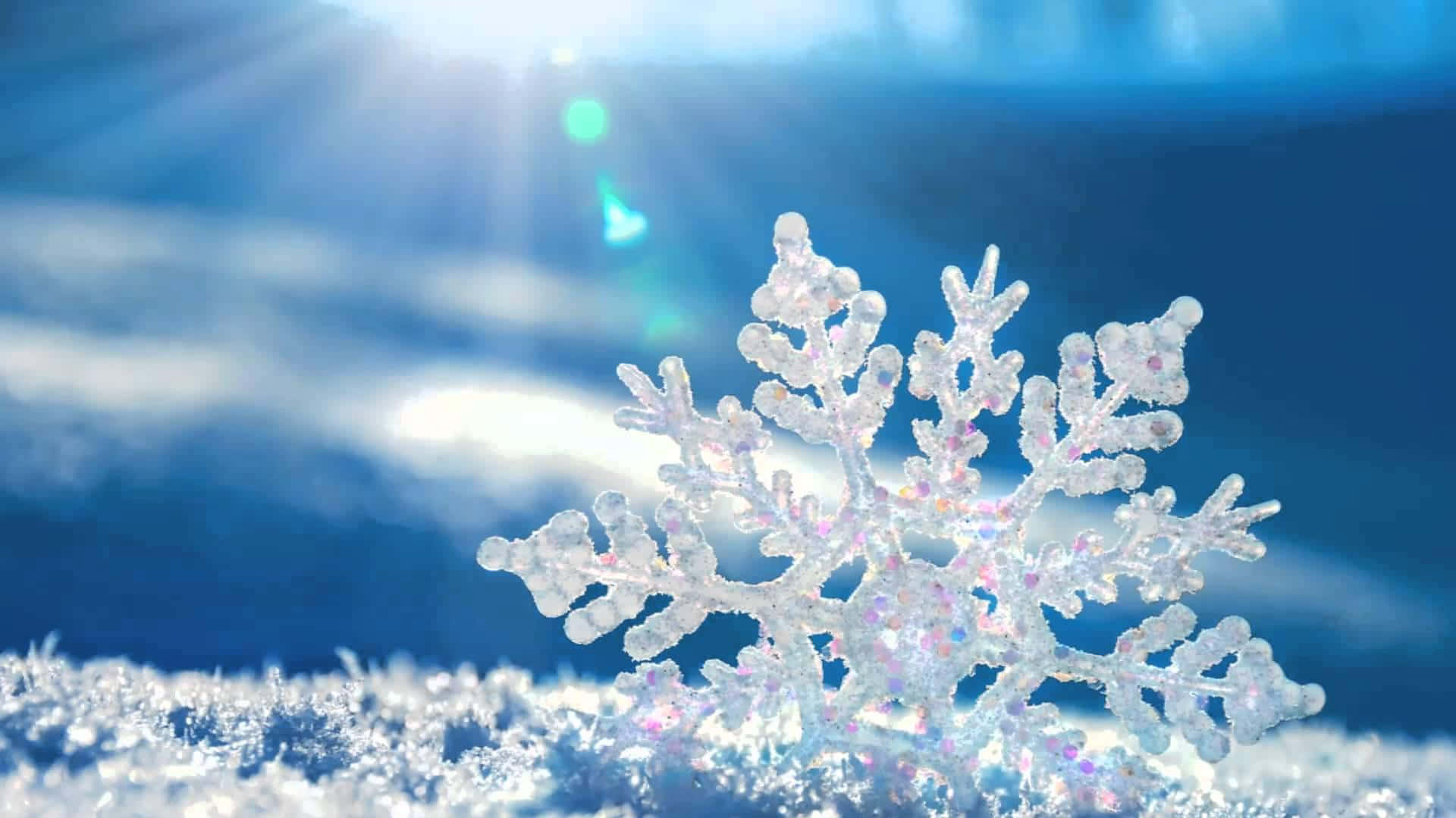 Sparkling Snowflake Sunshine Wallpaper