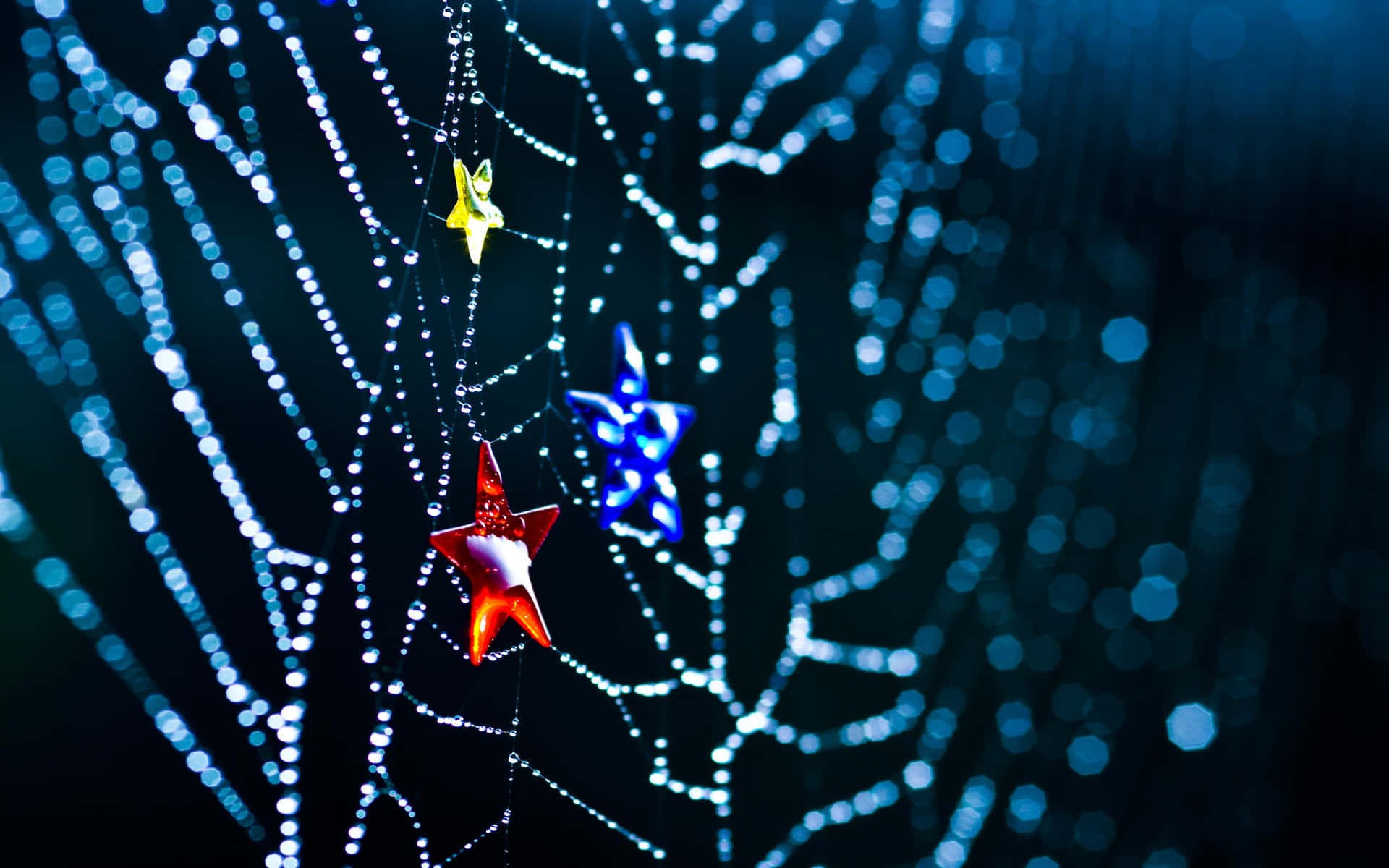 Sparkling Starson Spider Web Wallpaper