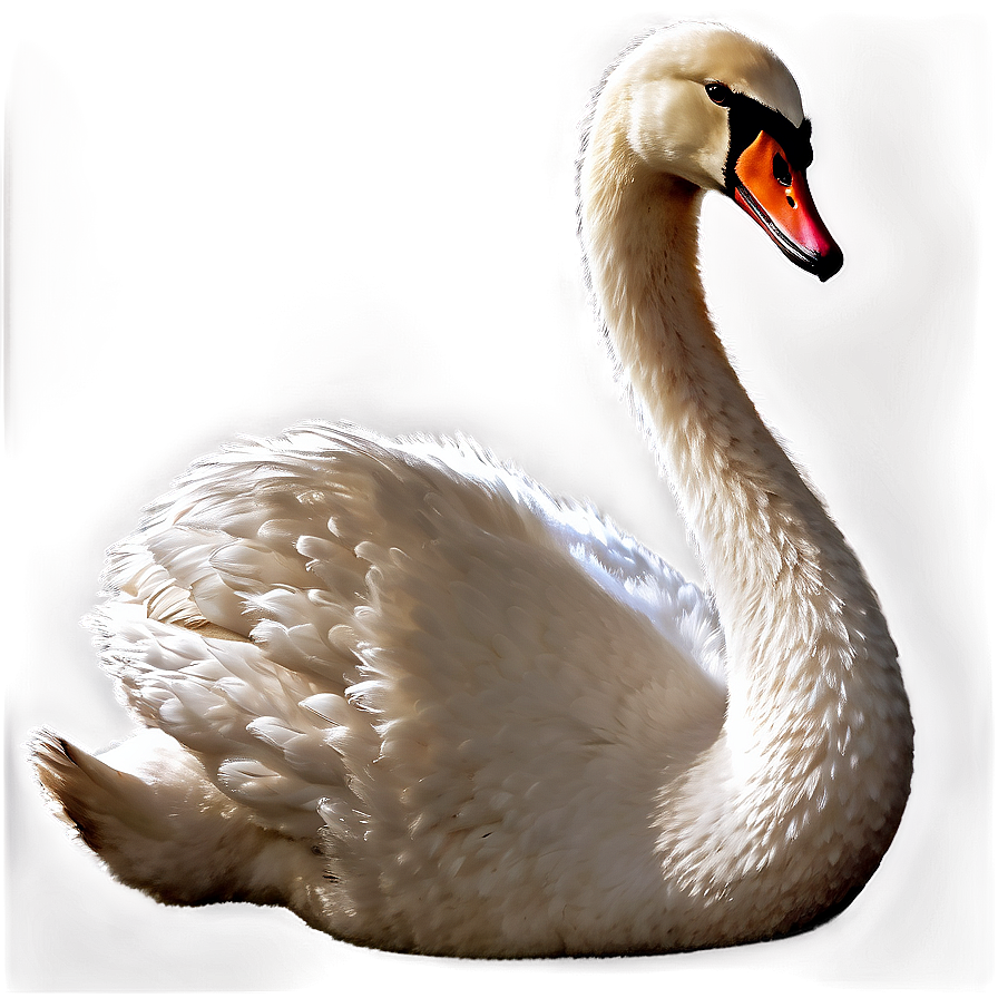 Sparkling Swan In Light Png Fwq PNG