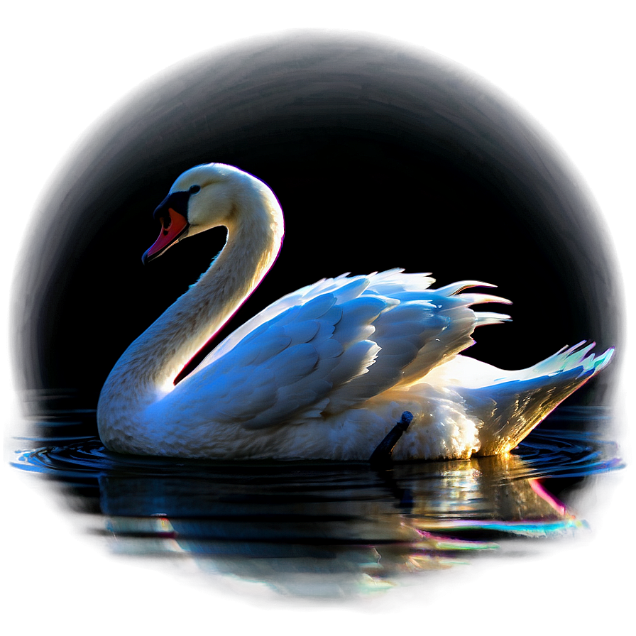 Sparkling Swan In Light Png Tip77 PNG