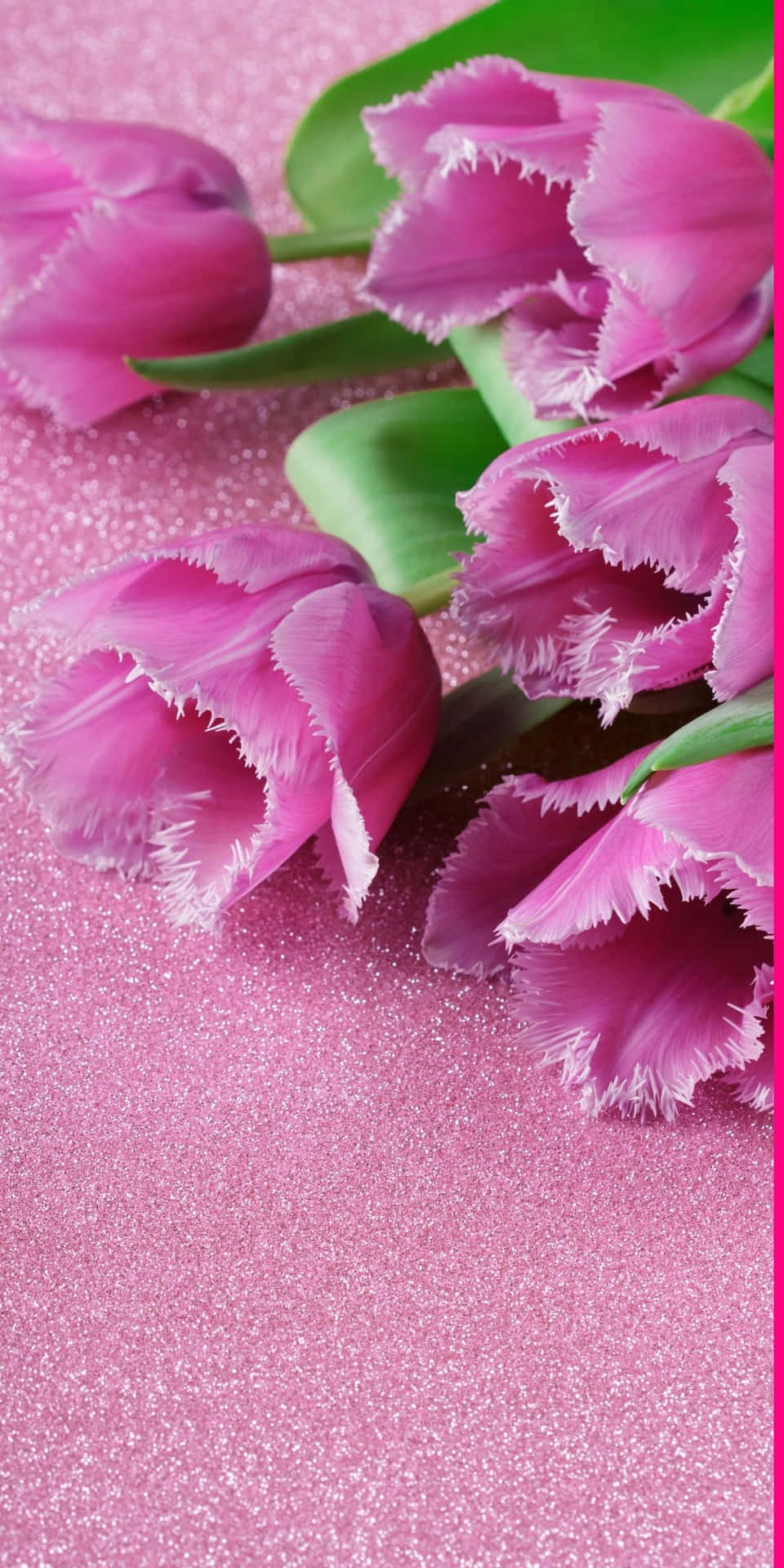 Fake Tulip Flowers Sparkly Pink Background