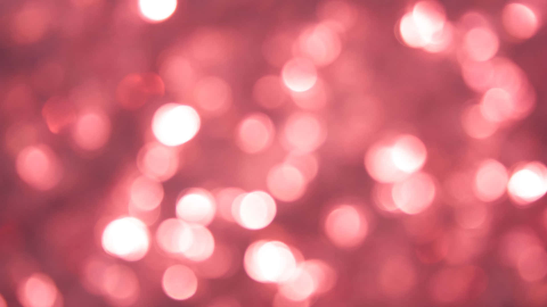 Sparkly Pink Bokeh Lights Background