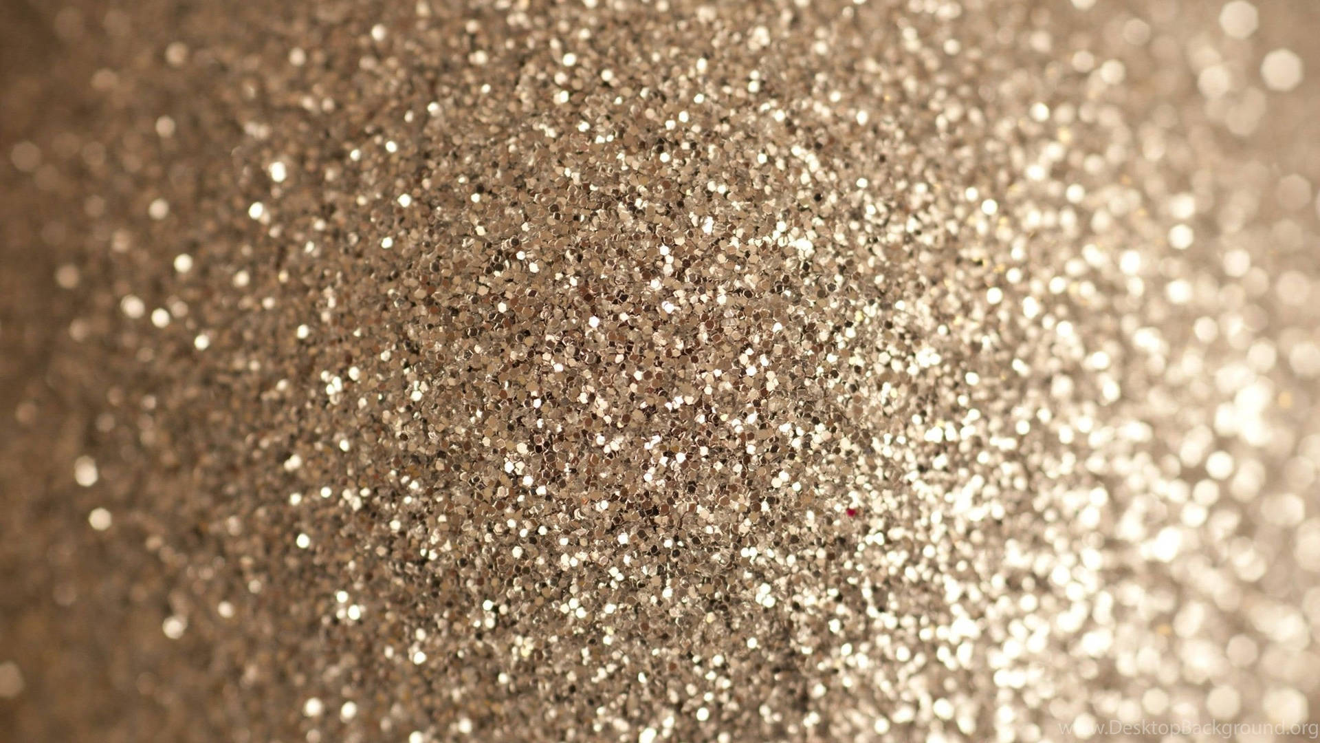 Focused Sparkly Silver Photo Wallpaper