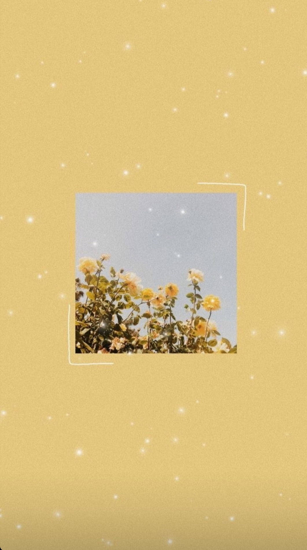 Sparkly Yellow Flowers Aesthetic Background