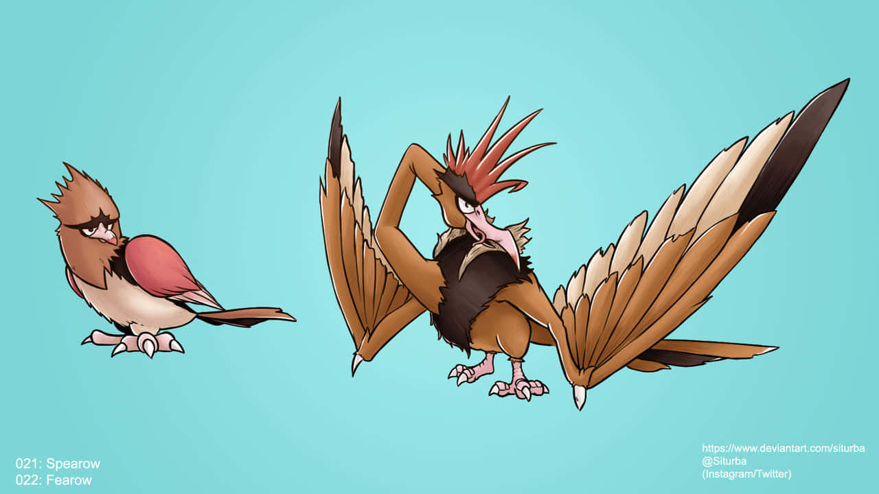 Spearow And Fearow Bright Blue Wallpaper