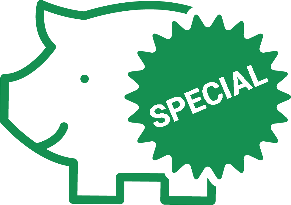 Special Offer Hedgehog Icon PNG